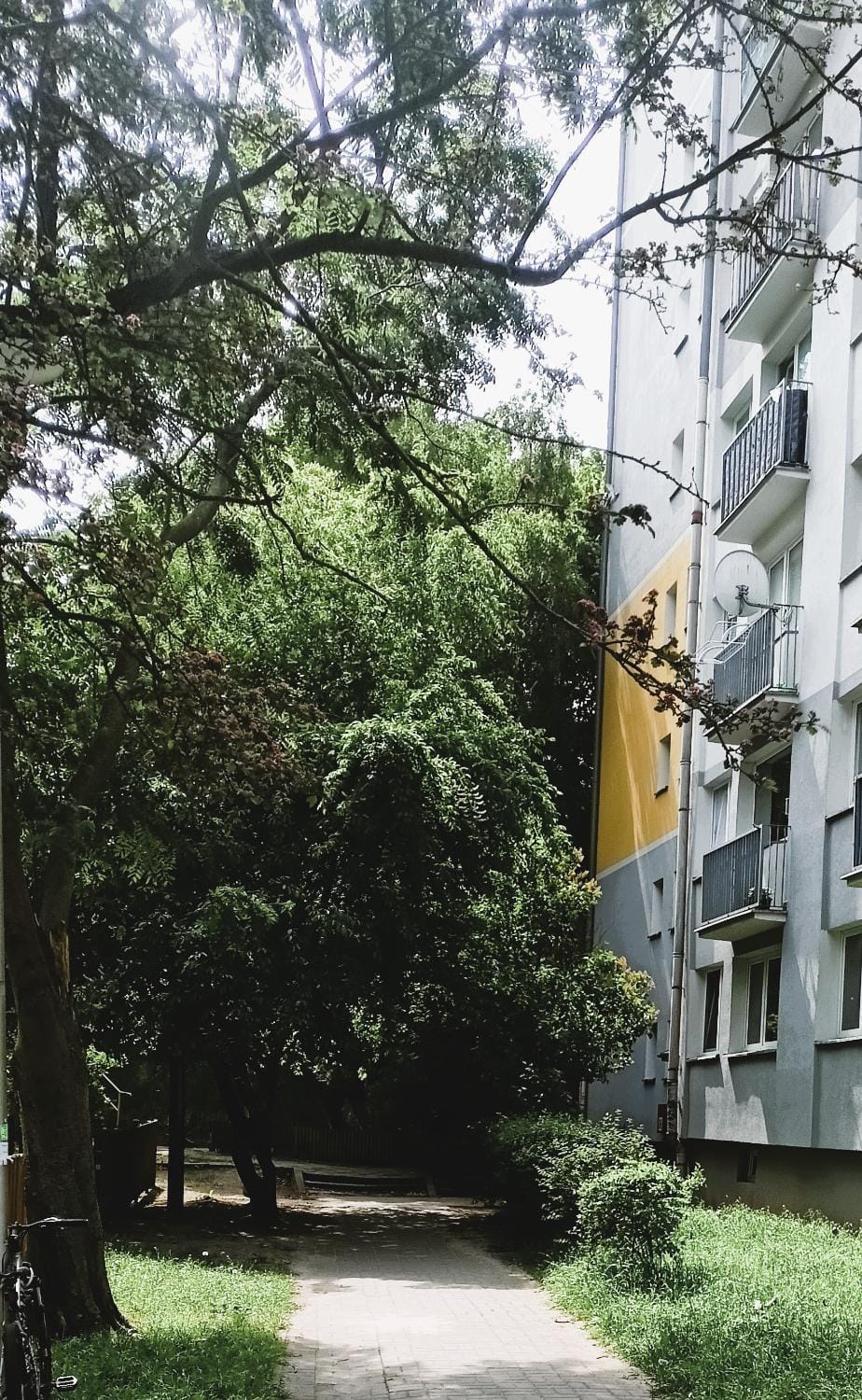 Property building, Facade/entrance, Day, Natural landscape, Garden