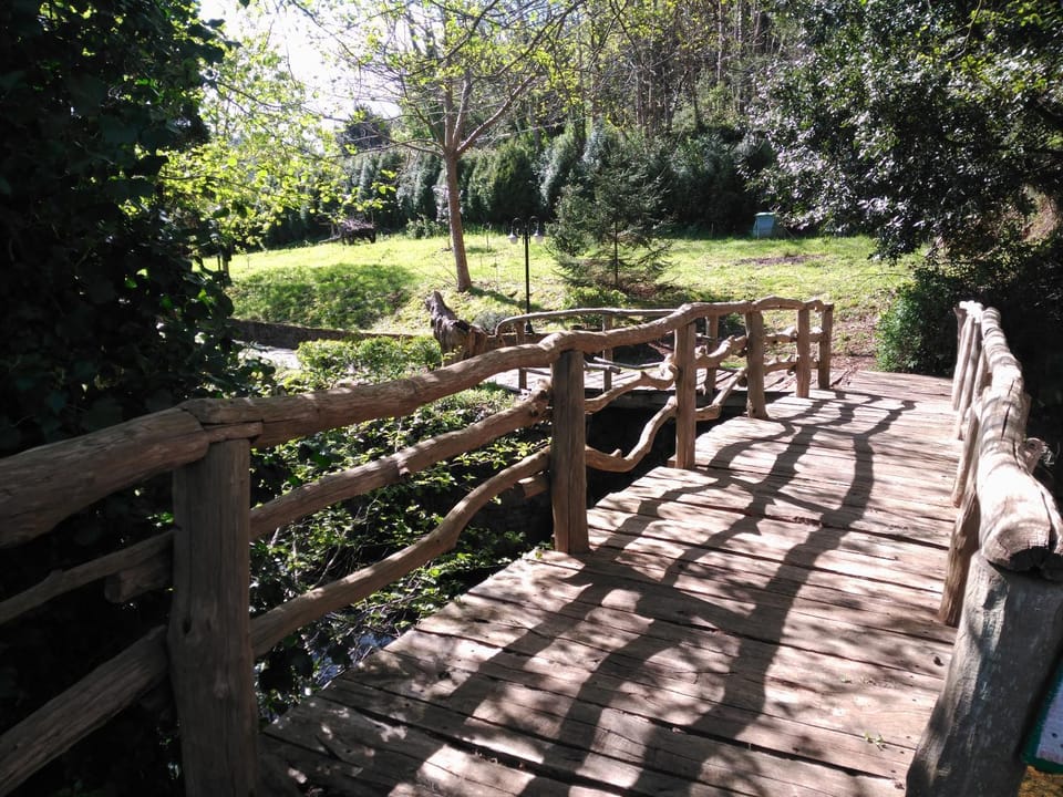 Day, Garden
