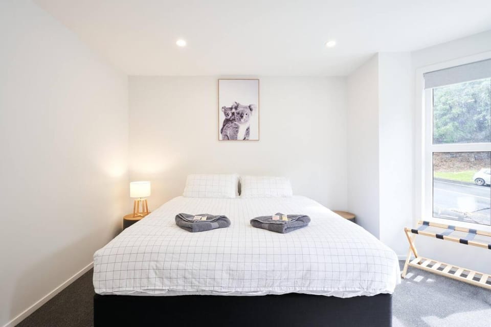 Modern Central Apartment, Flexible Bed Options Apartment in Dunedin