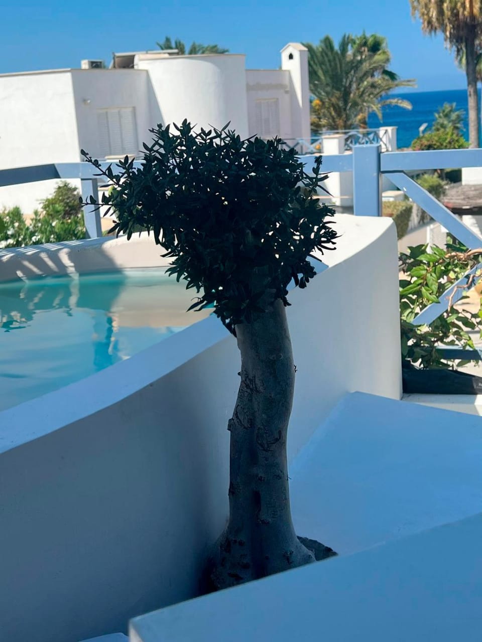 Balcony/Terrace, Seating area, Pool view, Sea view, Swimming pool, Swimming pool