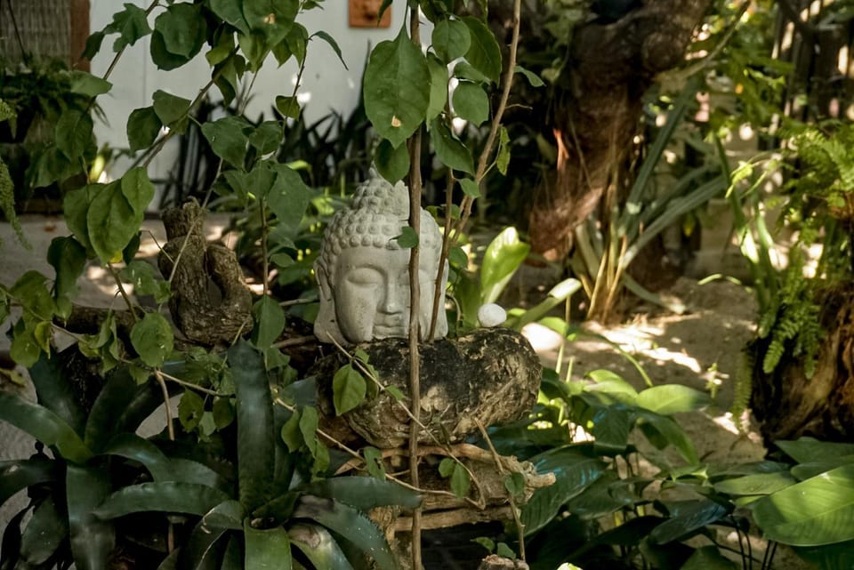 Garden, Decorative detail, Garden view