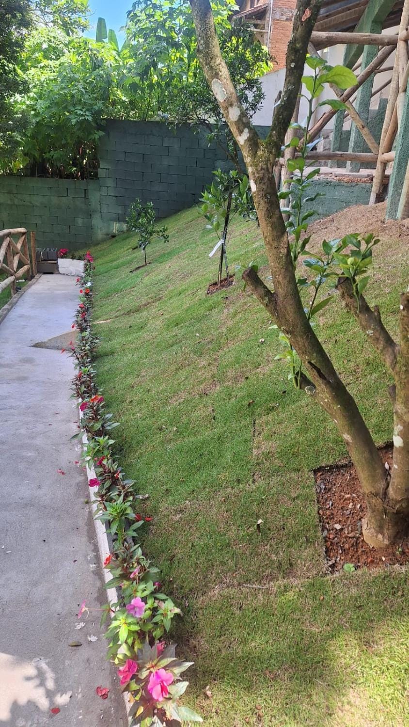 Garden, Swimming pool