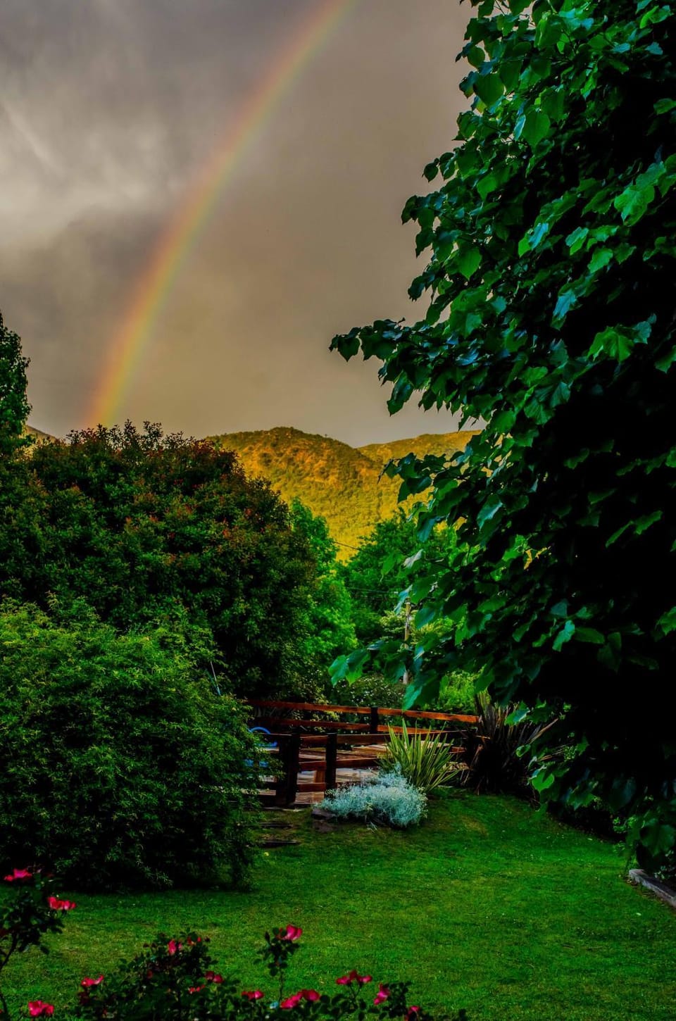 Garden view