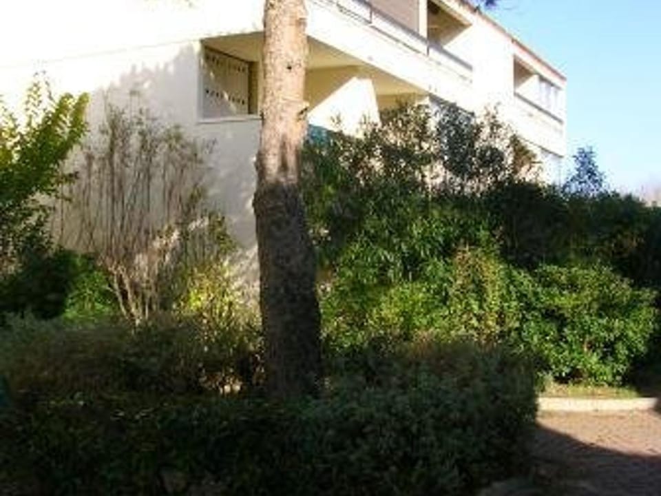 Studio en Rez-de-Chaussée avec Terrasse Spacieuse et Parking Privé à Marseillan - FR-1-326-814 Apartment in Marseillan