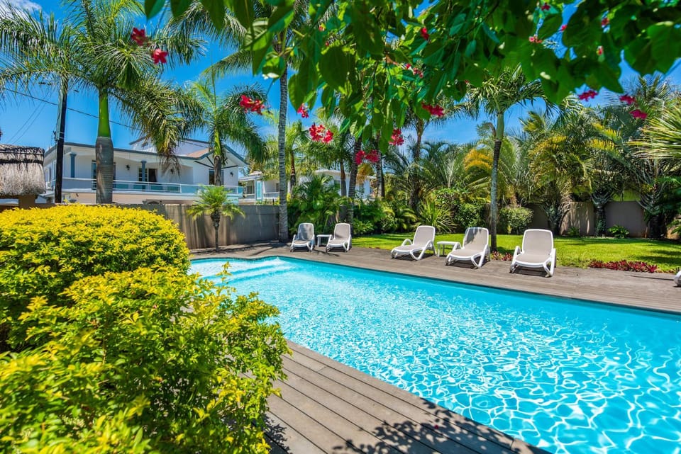 Garden, Garden view, Pool view, Swimming pool, sunbed