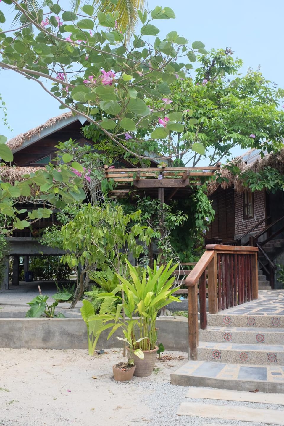Garden view