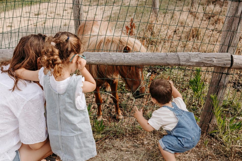 Day, children