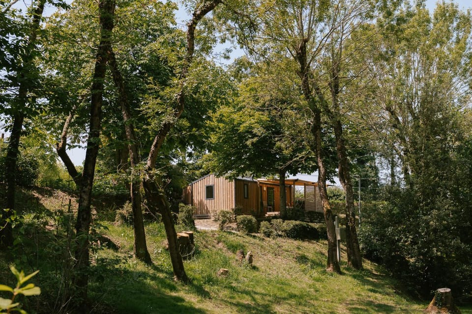 Day, Natural landscape, Garden view