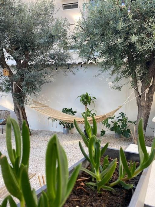 Day, Natural landscape, Garden, Garden view