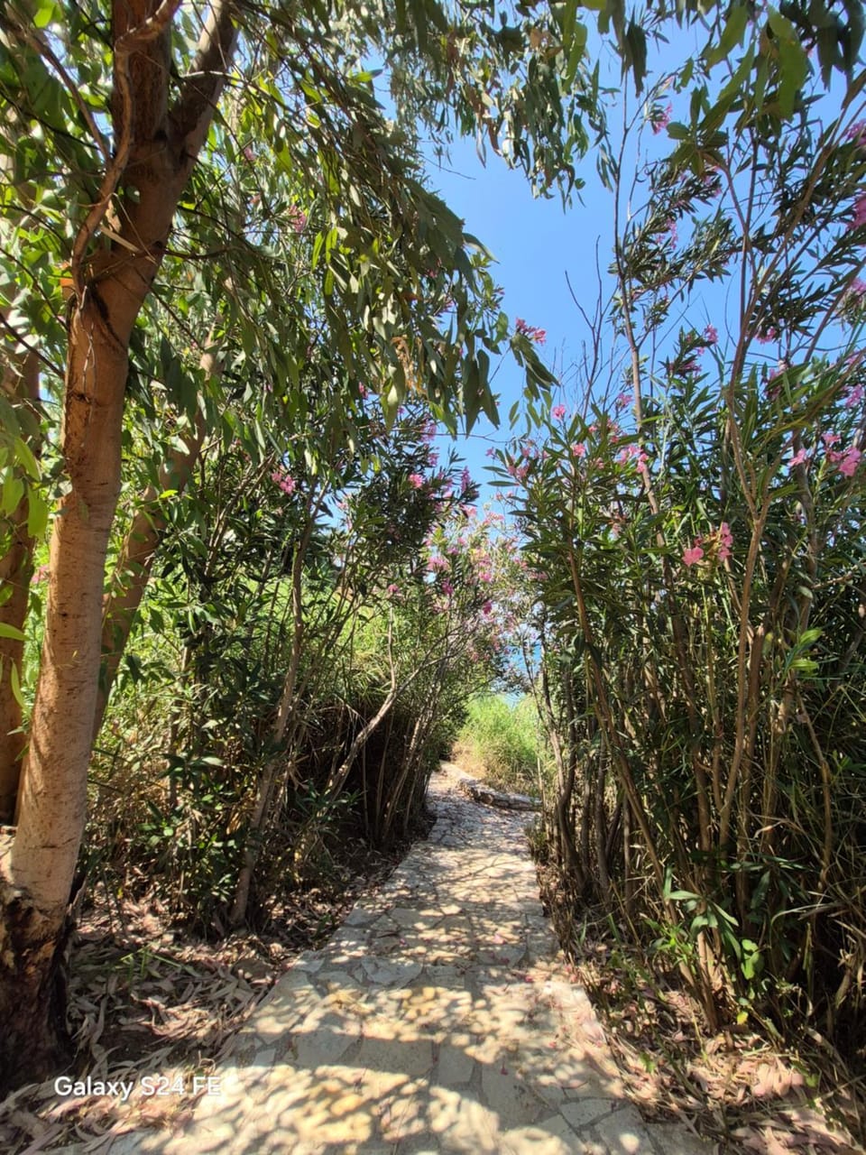 Natural landscape