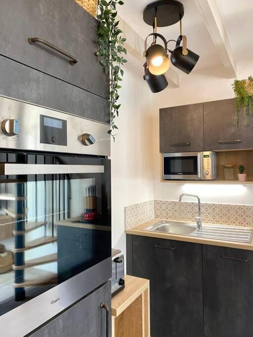 Kitchen or kitchenette, dishwasher, minibar, pet friendly, stove