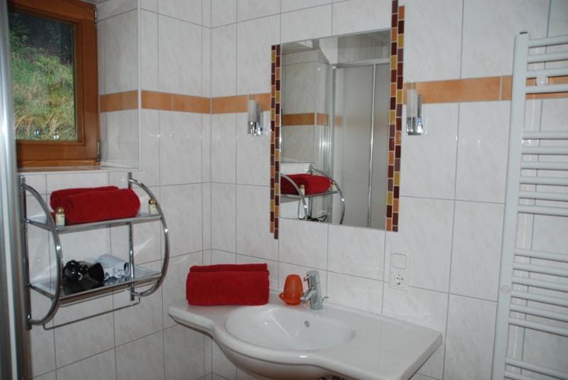 Ferienwohnung in Leogang Apartment in Salzburgerland