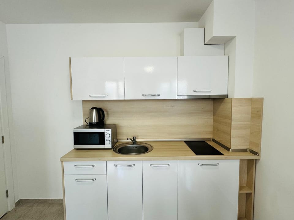 Coffee/tea facilities, Kitchen or kitchenette, minibar, oven, pet friendly, stove, toaster