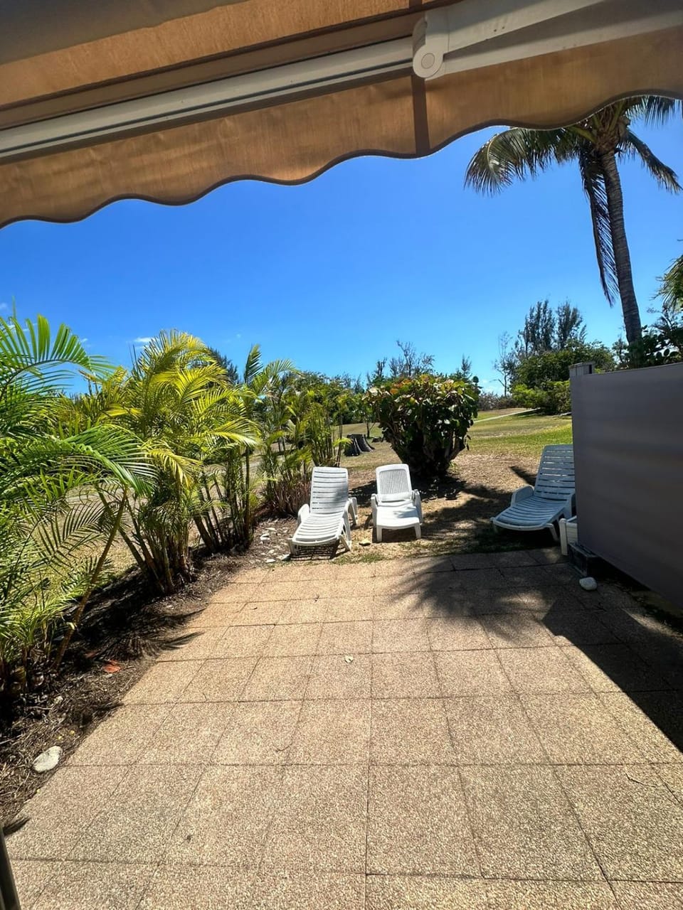 Patio, Day, Garden, Garden view, sunbed
