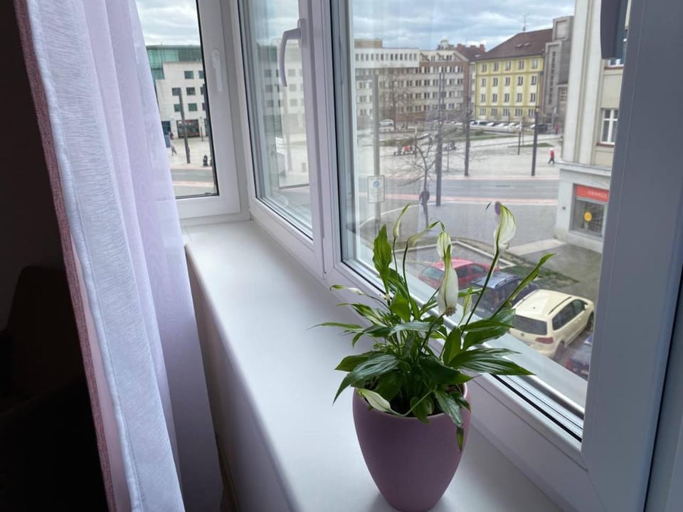 Perla Hradce 302 Apartment in Lower Silesian Voivodeship