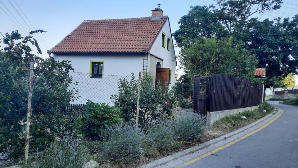 Property building, Garden view