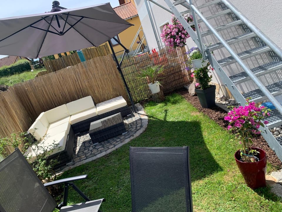 Garden view