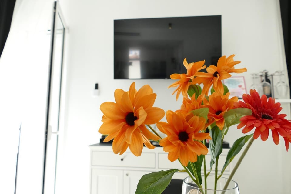 TV and multimedia, Decorative detail