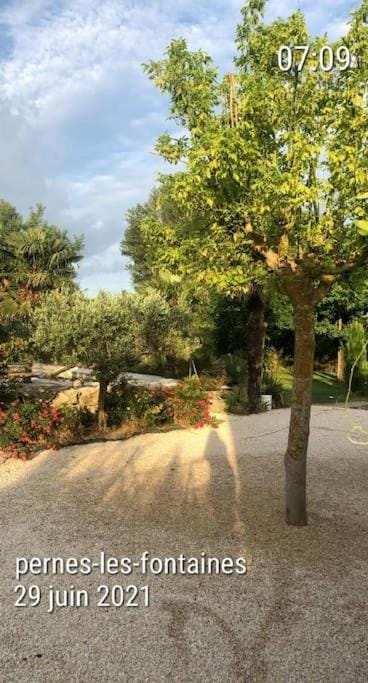 Day, Garden view