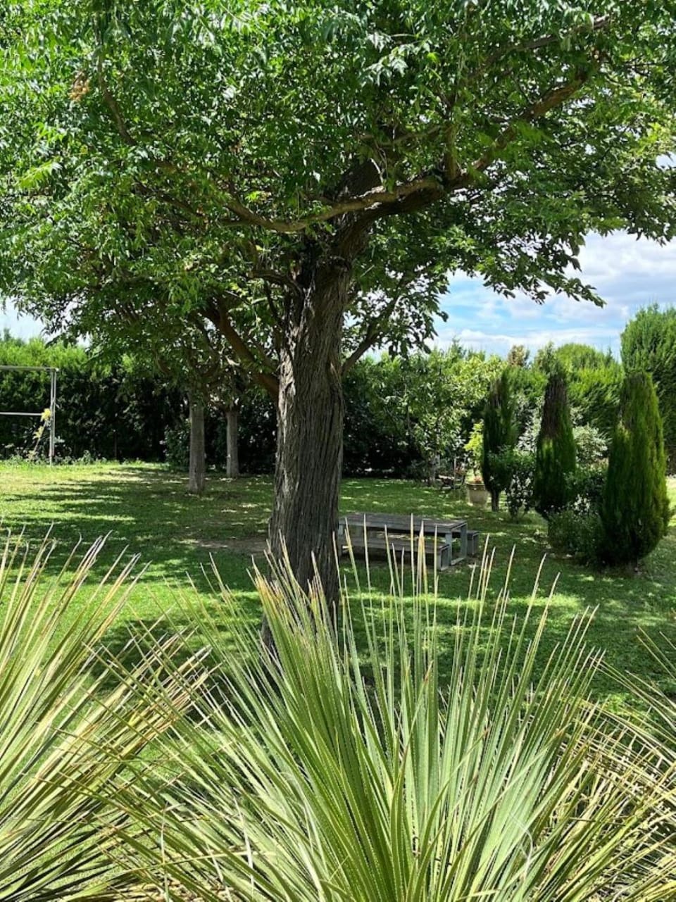 Garden view