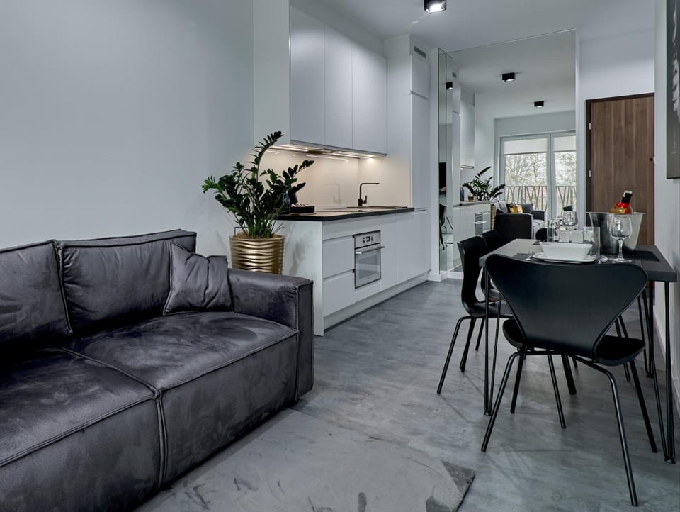 Apartament Sztuk Pięknych 4 Apartment in West Pomeranian Voivodeship, Poland