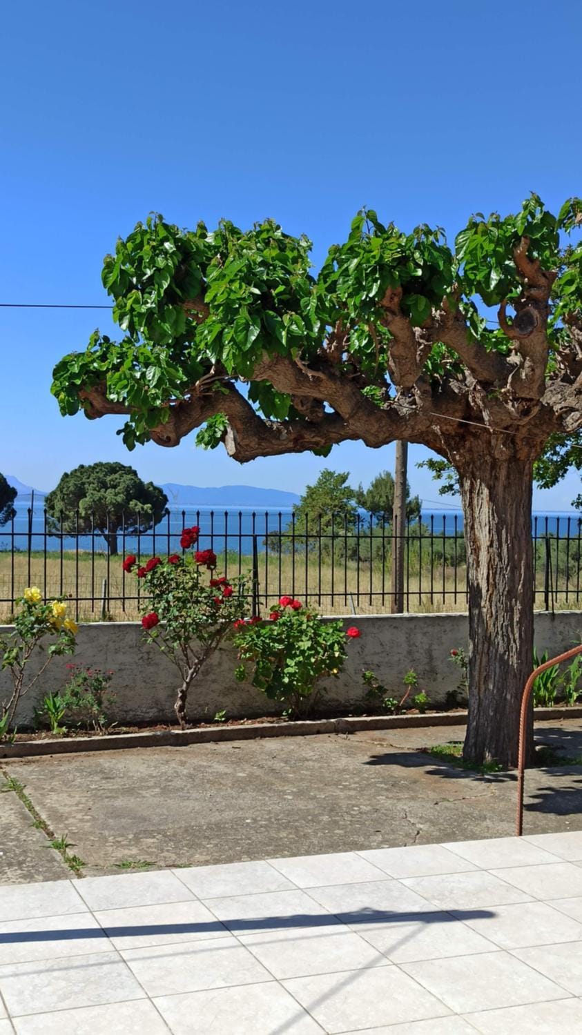 Sea view