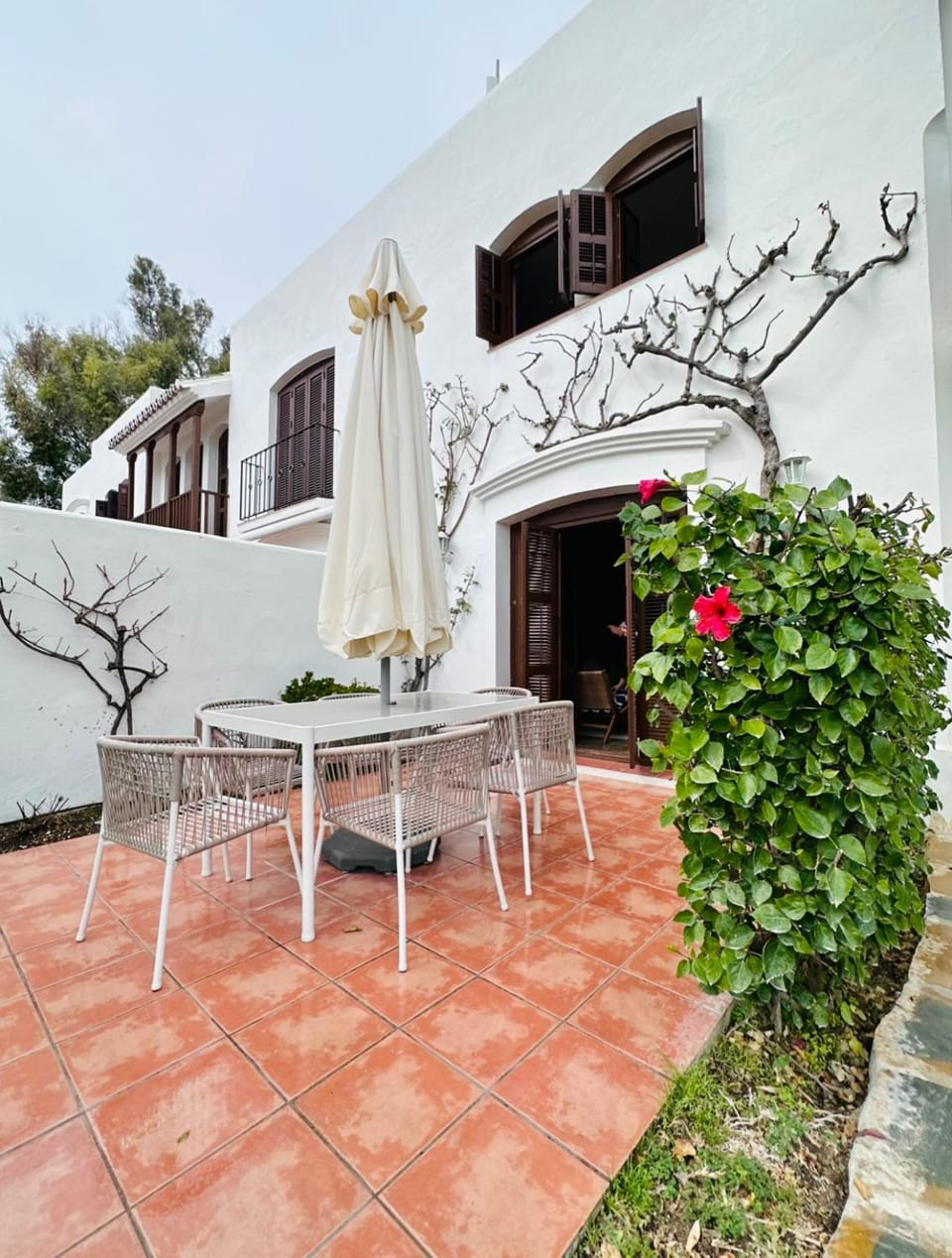 Patio, Garden
