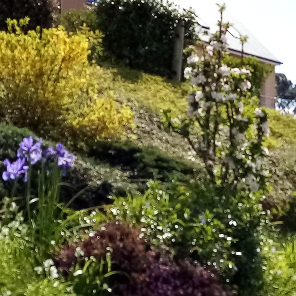 le gite du domaine du cotis House in Normandy