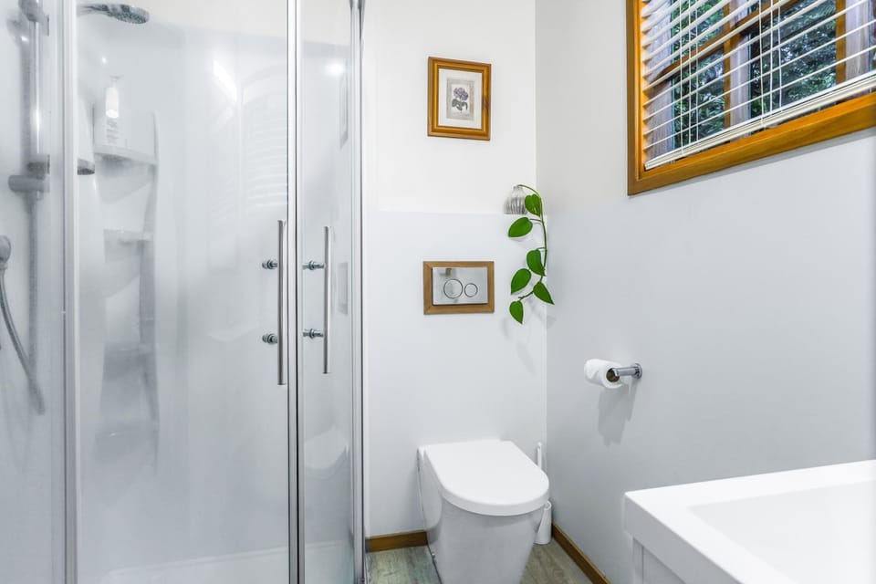 Shower, Toilet, hair dryier, towels