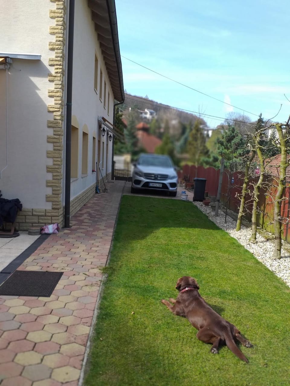 Neighbourhood, Pets