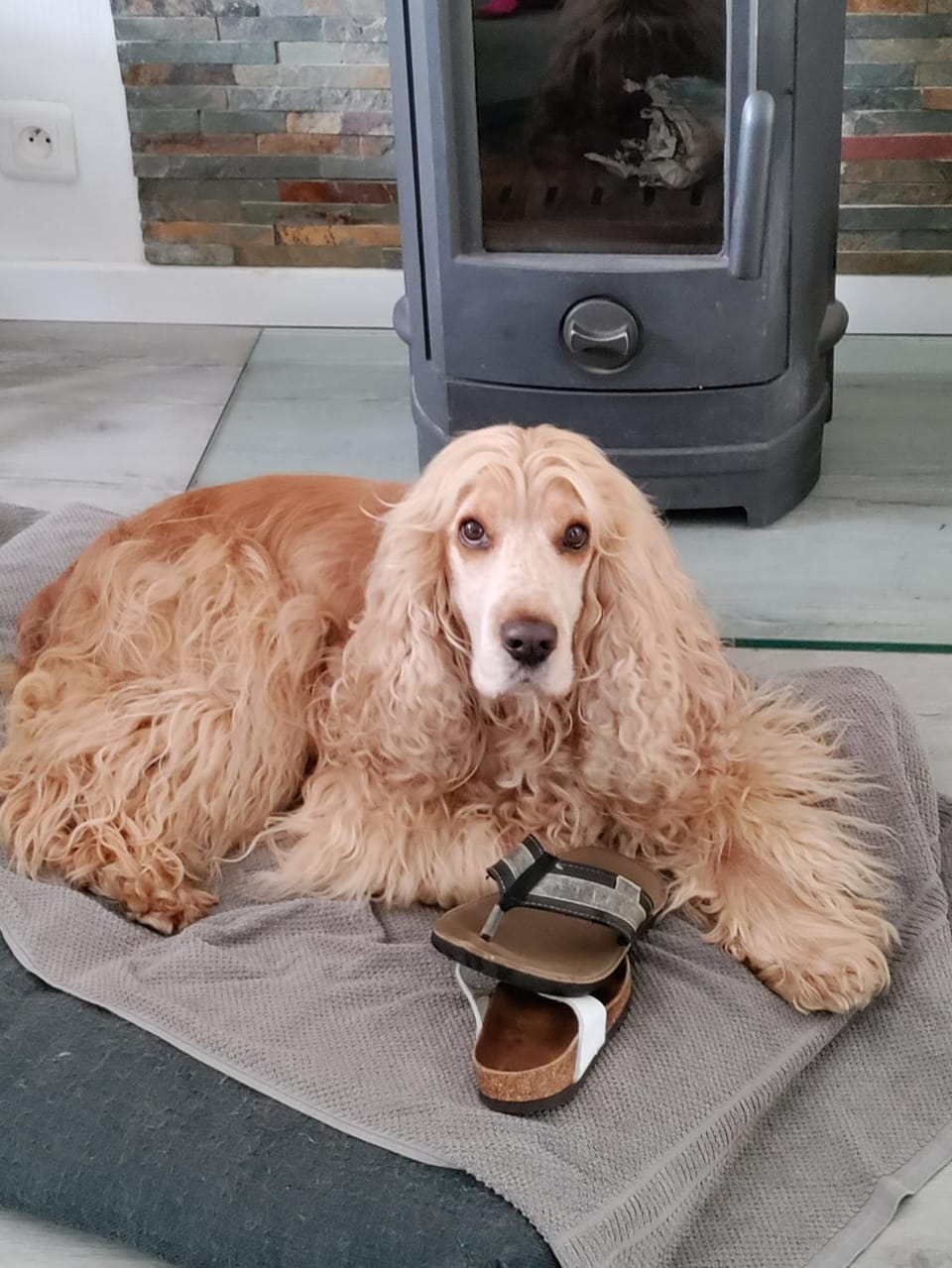 Chambre d hôte des Abers Bed and Breakfast in Plouguerneau