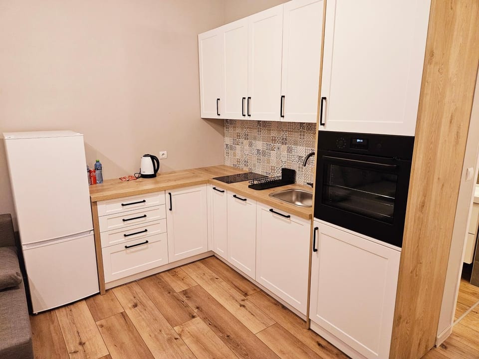 Kitchen or kitchenette, dishwasher, stove