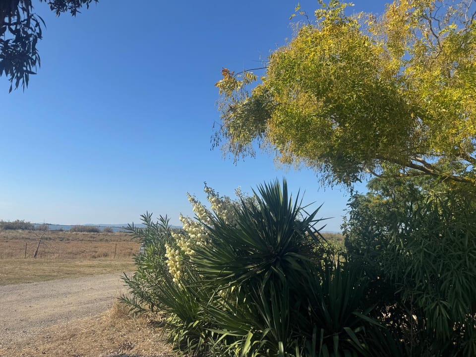 Day, Natural landscape, View (from property/room)