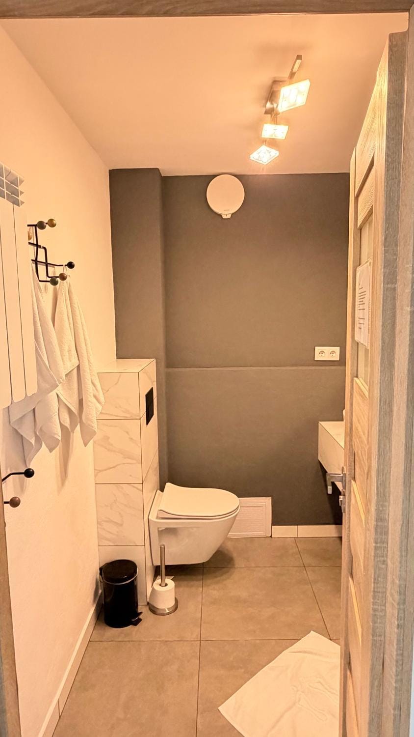Toilet, Bathroom, towels