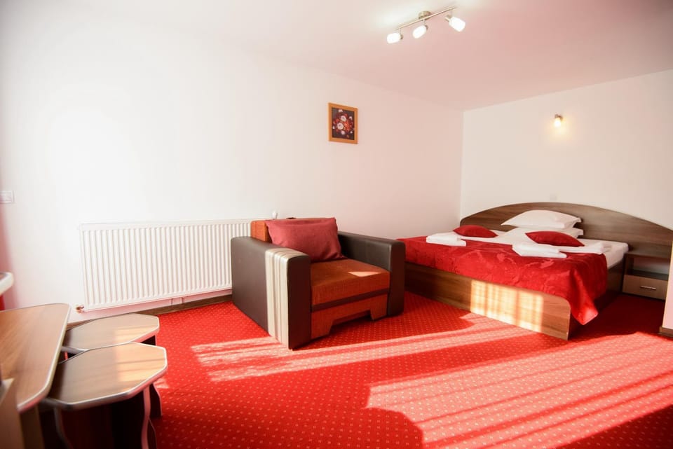 Vila Moecel Bed and Breakfast in Brașov County