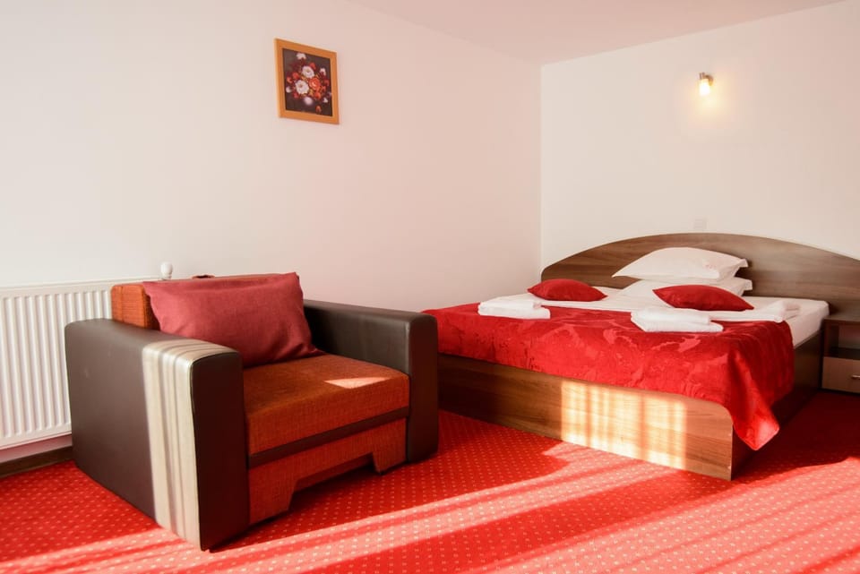 Vila Moecel Bed and Breakfast in Brașov County