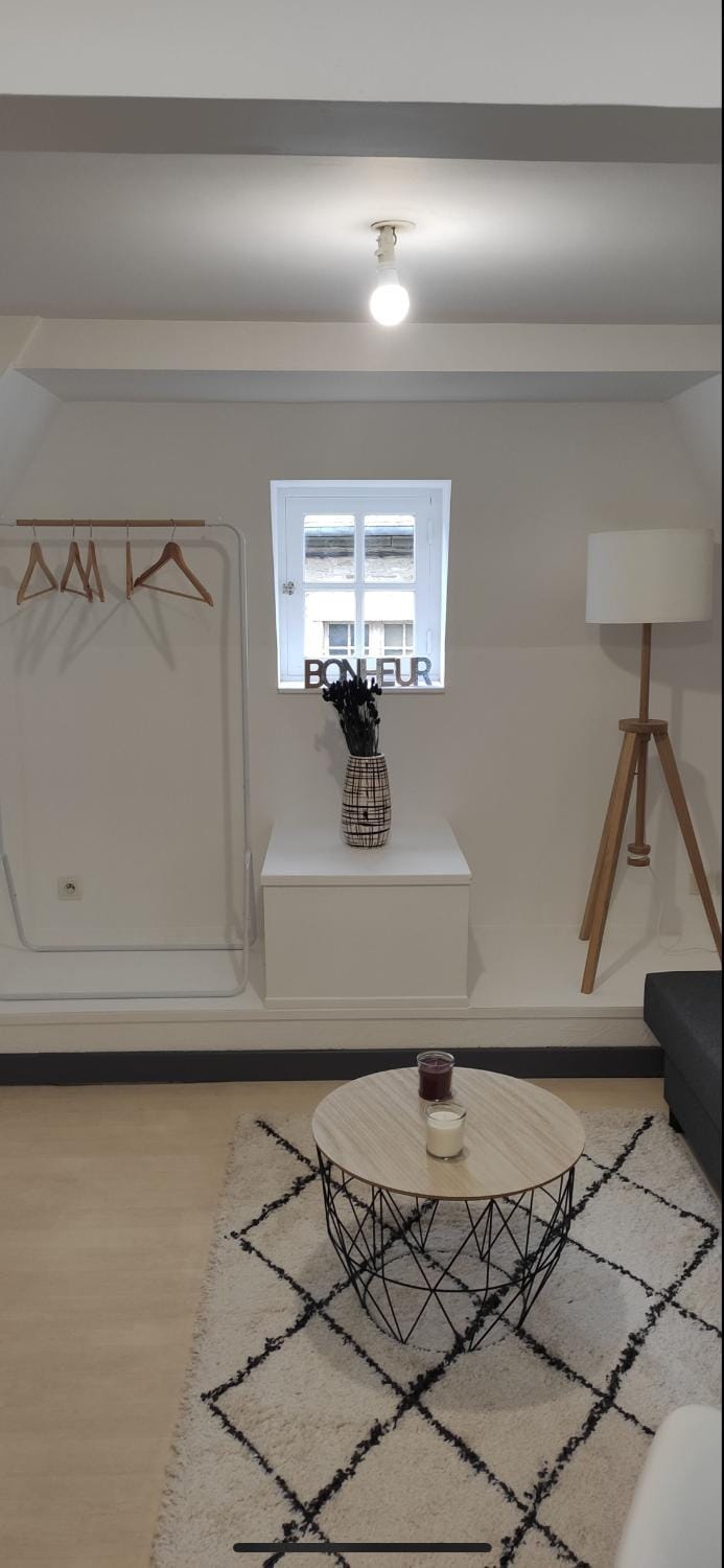 Le petit Treguier Apartment in Brittany