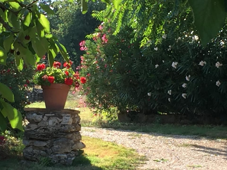 Garden, Decorative detail