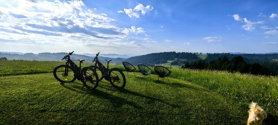 T'glamp Bee house Luxury tent in Slovenia