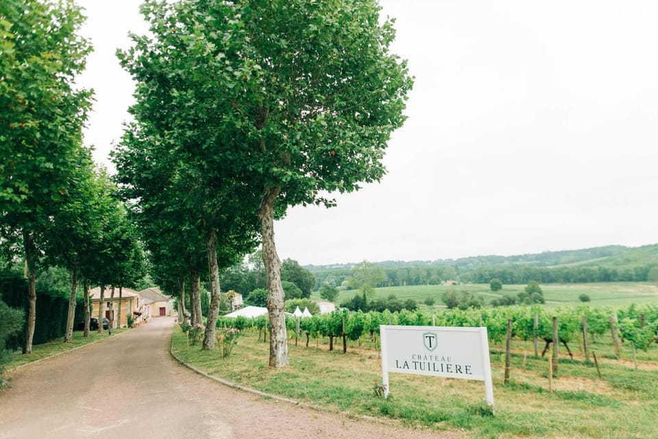 Château La Tuilière pool and it's own wineyard House in Nouvelle-Aquitaine