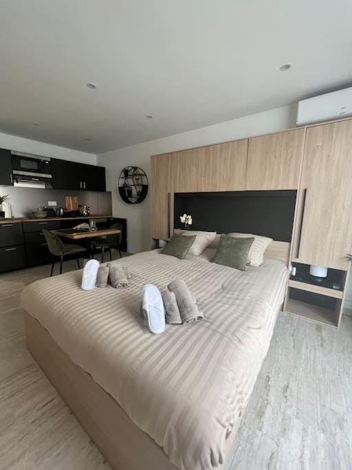 Superbe Studio avec balcon Rue d’Antibes Apartment in Cannes