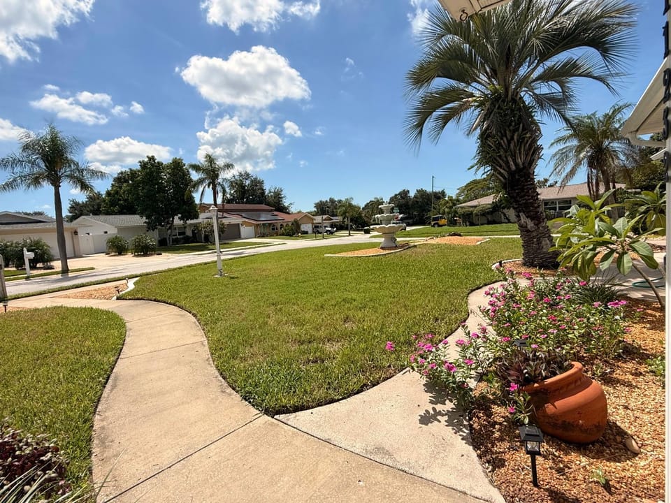 Day, Neighbourhood, Natural landscape, Garden, Garden view, Street view