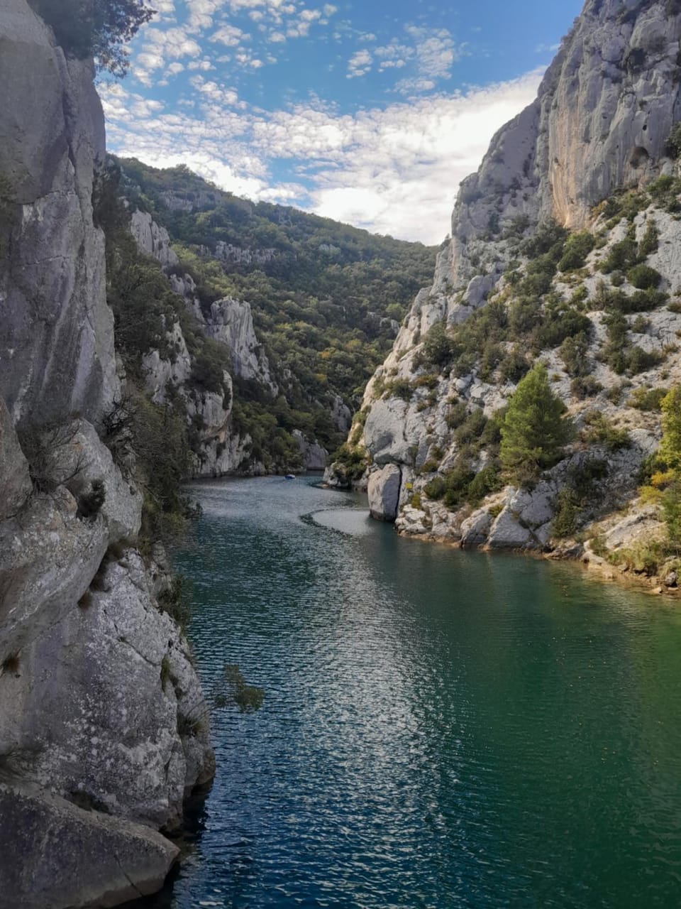 Domaine d'Avalon Bed and Breakfast in Flayosc