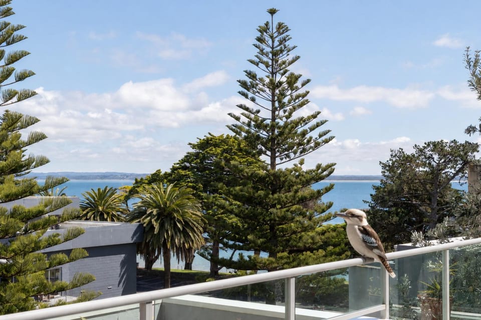 Natural landscape, View (from property/room), Balcony/Terrace, Animals, Sea view