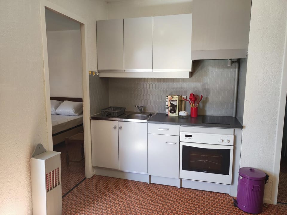 Appart climatisé 4 pers, proche plage et commerces Apartment in Argeles-sur-Mer