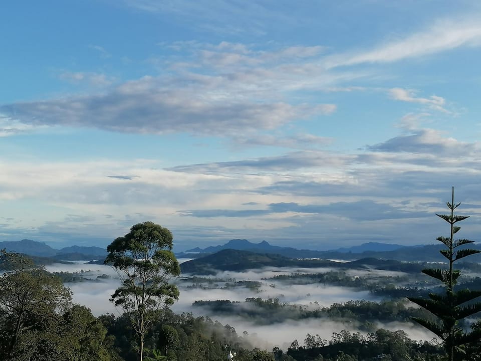 Mountain view