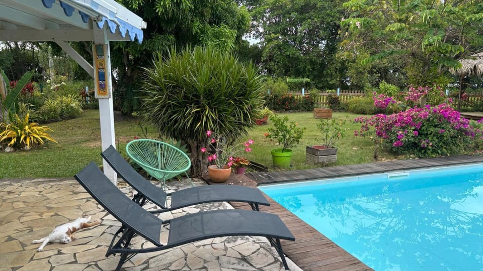 Swimming pool, sunbed