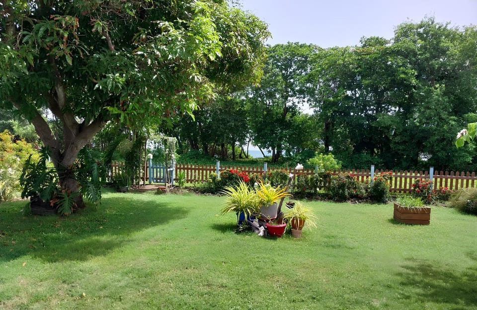 Beach, Garden view