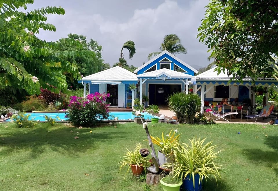 Garden, Pool view, Swimming pool, sunbed
