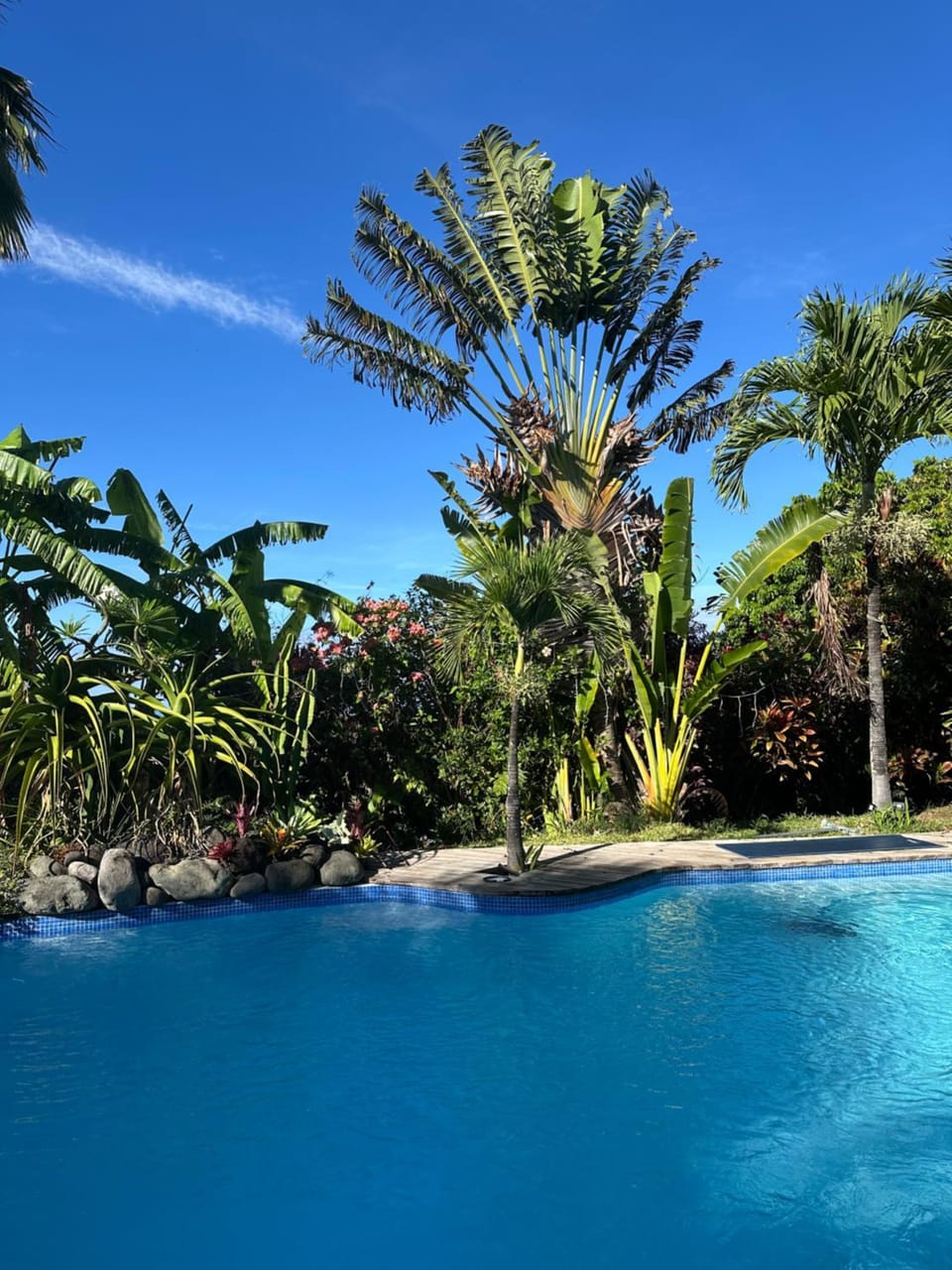 Pool view